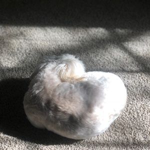 Meet your Posher, Carson